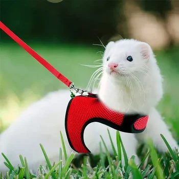 Furão De Estimação Acessórios Trela Levar Mascotas Coelho Respirável Curta Animais Pequenos Hamsters Para O Verão Conjunto De Malha