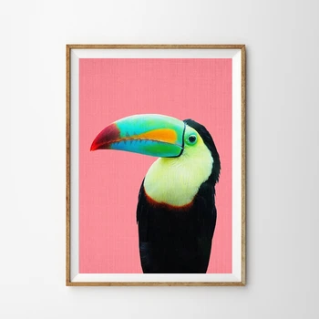O Tucano Pássaro De Lona Imprime A Fotografia Moderna Colorido Brilhante, Grande Cartaz, Pintura Da Arte Tropical Do Papagaio Foto De Decoração De Quarto De Crianças