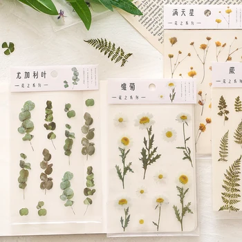 Daisy Clover Samambaia Transparente animal de ESTIMAÇÃO Adesivos de Flores, Folhas, Plantas Adesivo para Scrapbooking Diário de Adesivos de papel de carta Japonês